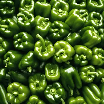 Grüne Paprika